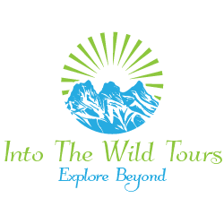 Into The Wild Tours